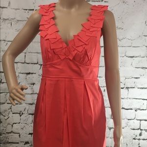 BCBG dress